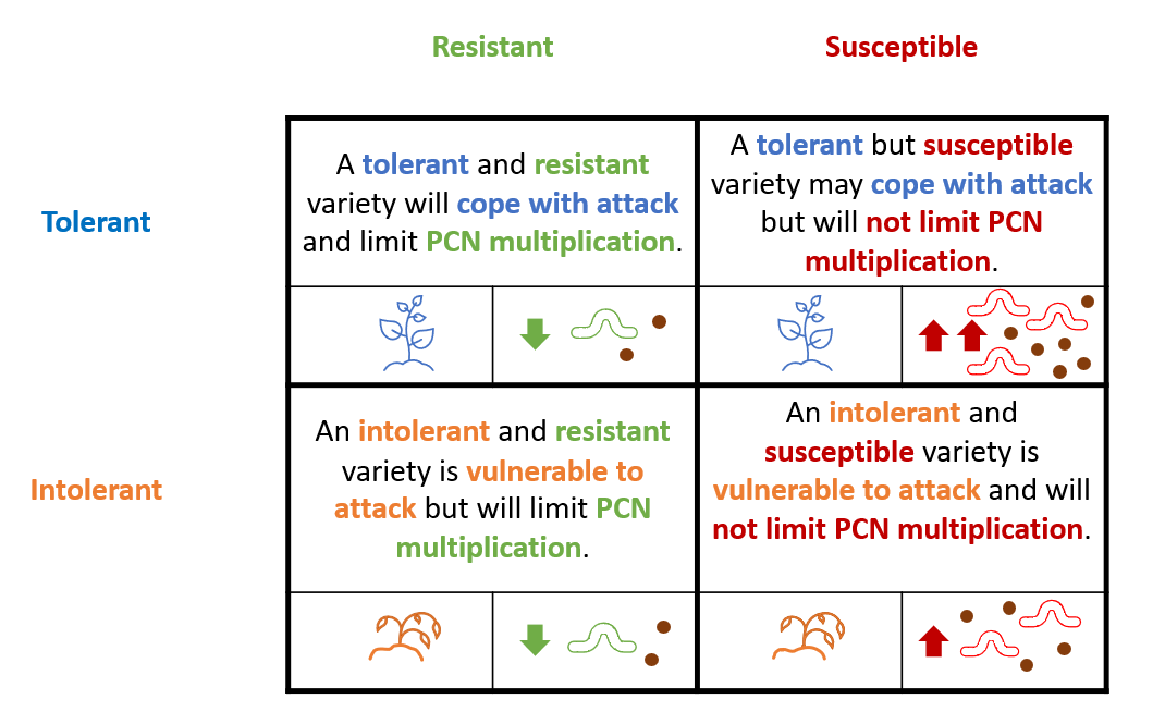 Table showing the difference between PCN tolerance and resistance.