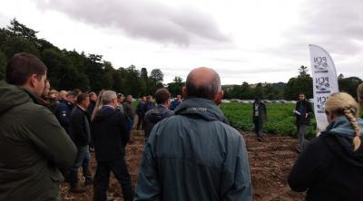 Crowd in field