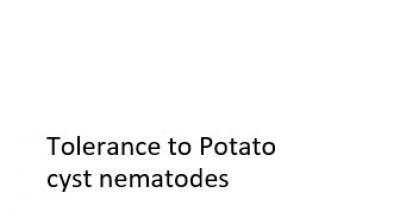 PCN Tolerance review