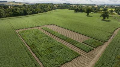 Barnyards 2022 field trial site Drone picture of 2022 trial site