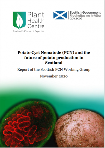 Report front cover with a potato and eggs in a cyst.