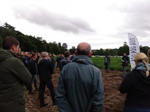 Crowd in field