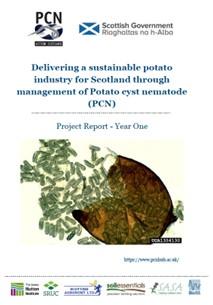 Front page of summary report containing image of PCN cyst and eggs.