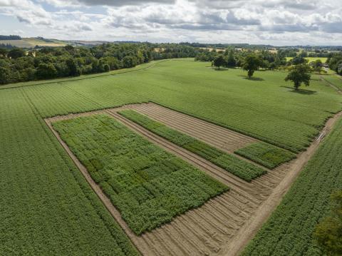 Barnyards 2022 field trial site Drone picture of 2022 trial site