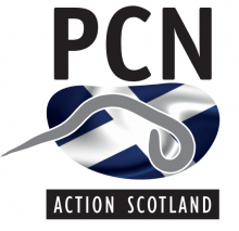 PCN Logo