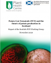 Report front cover with a potato and eggs in a cyst.