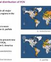 Map showing PCN presence around world