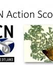 Project logo and PCN cyst front cover