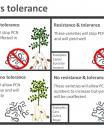 Comparison table showing tolerance and resistance