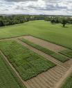 Barnyards 2022 field trial site Drone picture of 2022 trial site