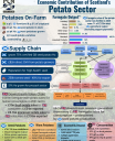 Potato Sector Economics Poster